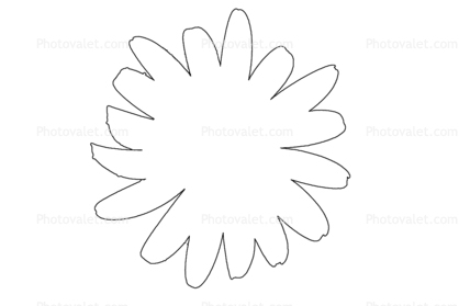 418x279 Daisy Outline, Line Drawing, Shape Images, Photography, Stock - Daisy Outline Drawing