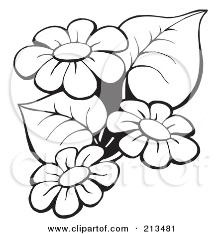 450x470 Flower Outline Clipart Clip Art Panda Free Images Sweet Sardinia - Daisy Outline Drawing