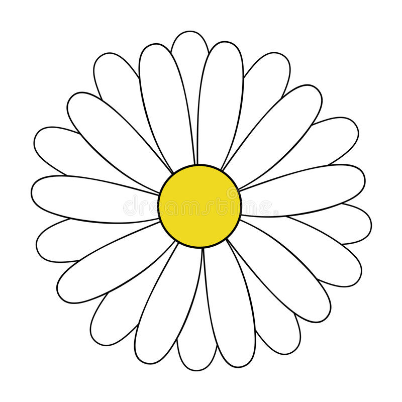 800x800 Huge Collection Of 'daisy Flower Drawing' Download More Than - Daisy Outline Drawing