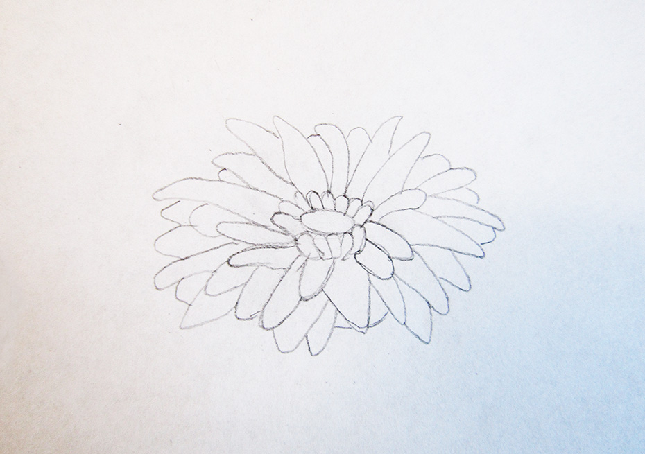 930x655 Review Of How To Draw Cool Stuff Art Workbooks - Daisy Outline Drawing