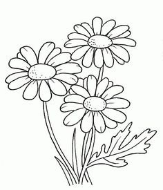 236x275 Daisy Leaf Outline - Daisy Outline Drawing