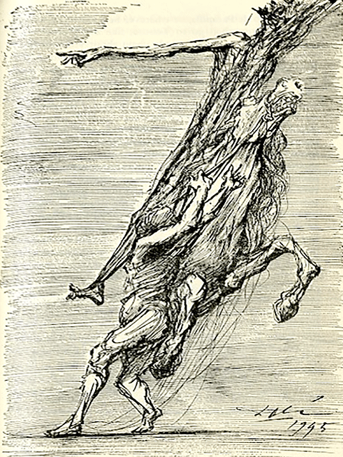 480x640 discovering dali in book illustrations, part - Dali Drawings