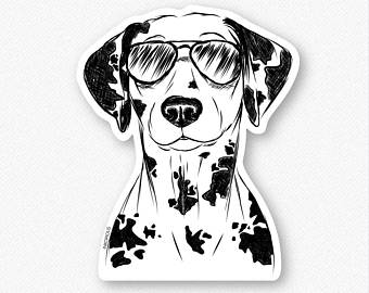 340x270 dalmatian drawing etsy - Dalmatian Dog Drawing