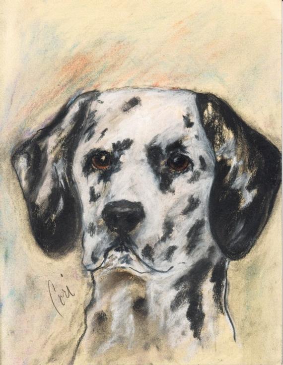 570x736 dalmatian dog art note cards - Dalmatian Dog Drawing