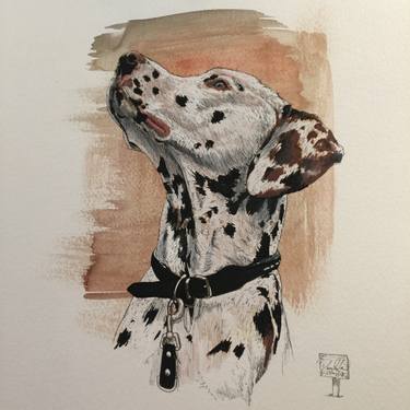 375x375 Dalmatian Drawing - Dalmatian Drawing