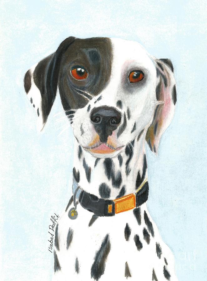 662x900 Dalmatian Drawing - Dalmatian Drawing