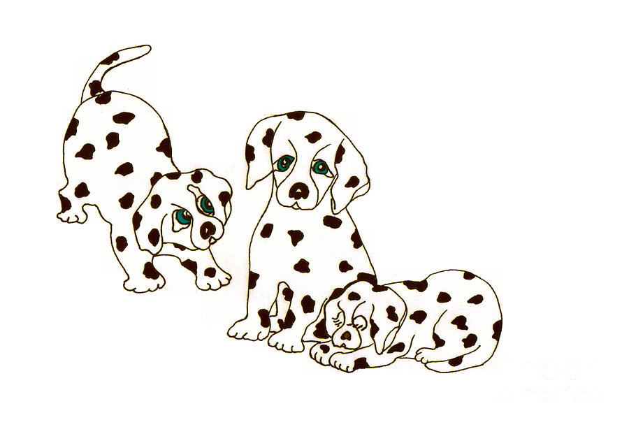 900x611 Dalmatian Puppies Drawing - Dalmatian Drawing