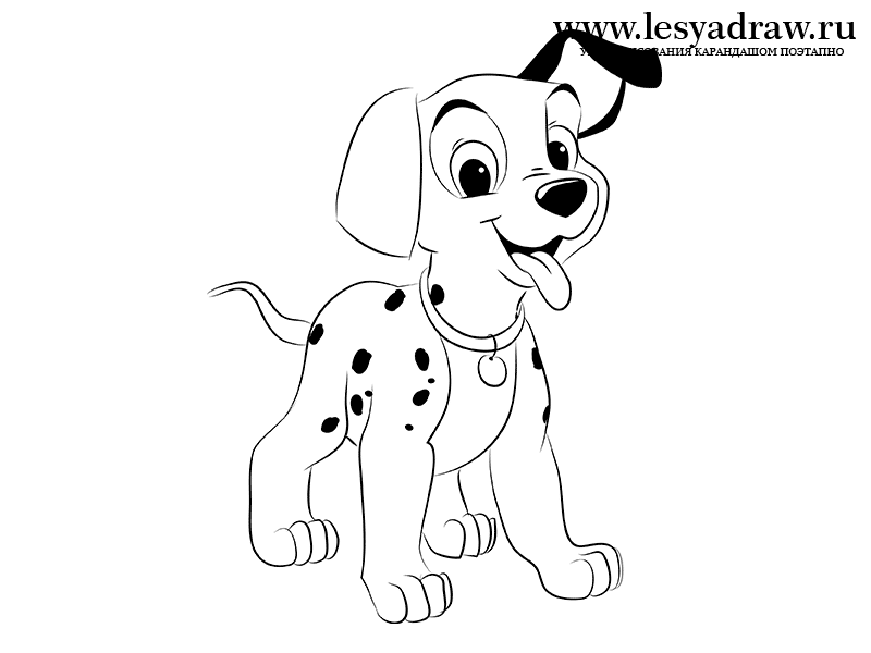 800x600 How To Draw Dalmatians With A Pencil Step - Dalmatian Drawing