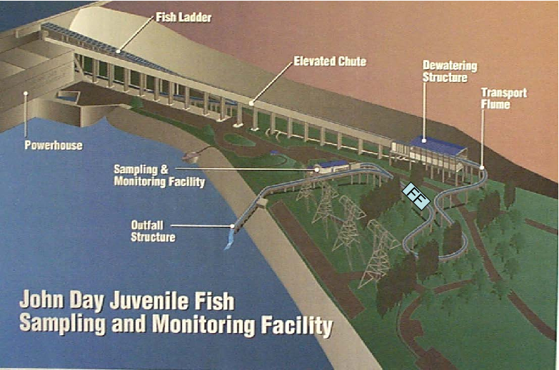 783x519 drawing of the juvenile fish facility - Dam Drawing