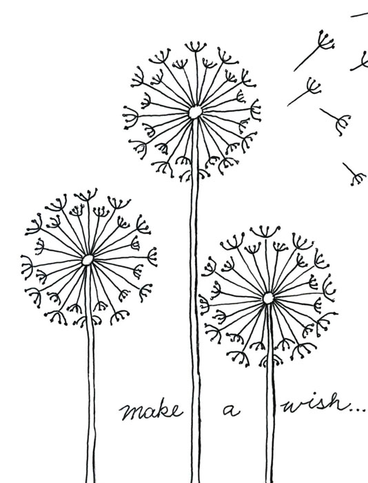 534x700 Draw A Dandelion Art Projects For Kids - Dandelion Black And White Drawing