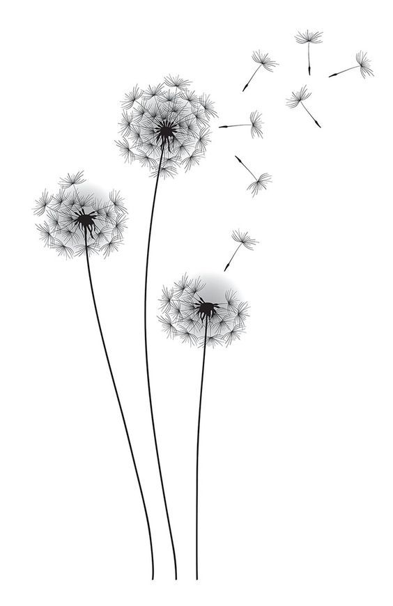 564x870 Gallery For Gt Dandelion Drawing Black And White Tattoos - Dandelion Black And White Drawing