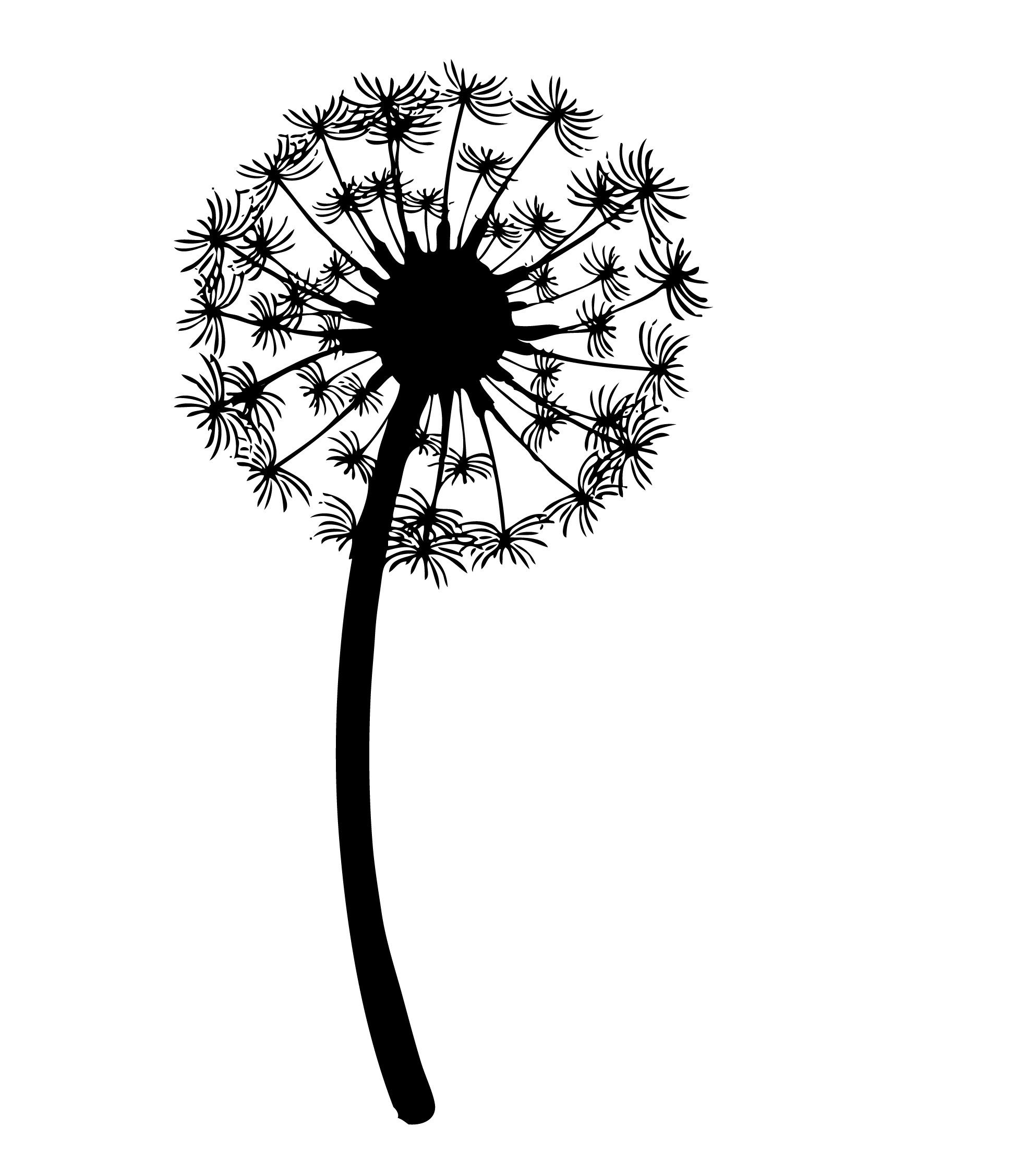 1942x2254 Image Result For Dandelion Black And White Drawing Tattoo Ideas - Dandelion Black And White Drawing