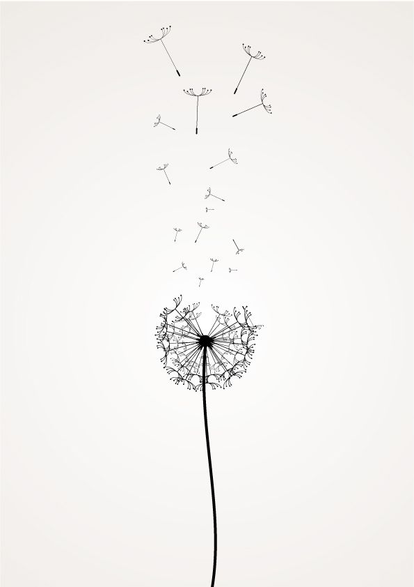 595x842 Craftdraw Drawings, Tattoo Designs - Dandelion Black And White Drawing