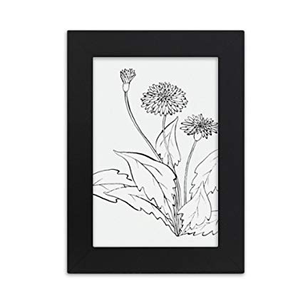 425x425  - Dandelion Black And White Drawing