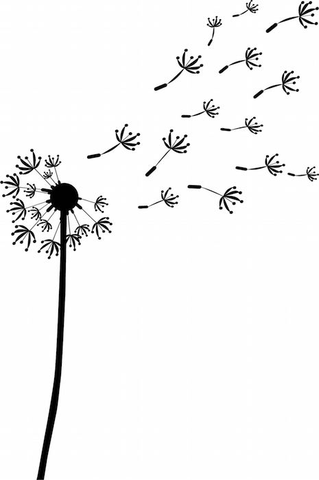 465x700 Dandelion Tattoo Meaning - Dandelion Blowing In The Wind Drawing