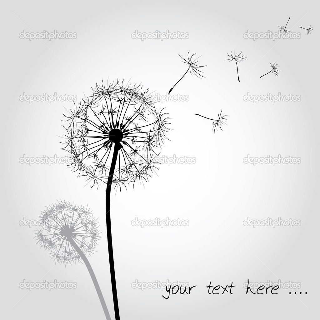 1024x1024 Dandelions Blowing In The Wind Drawing Dandelion - Dandelion Blowing In The Wind Drawing