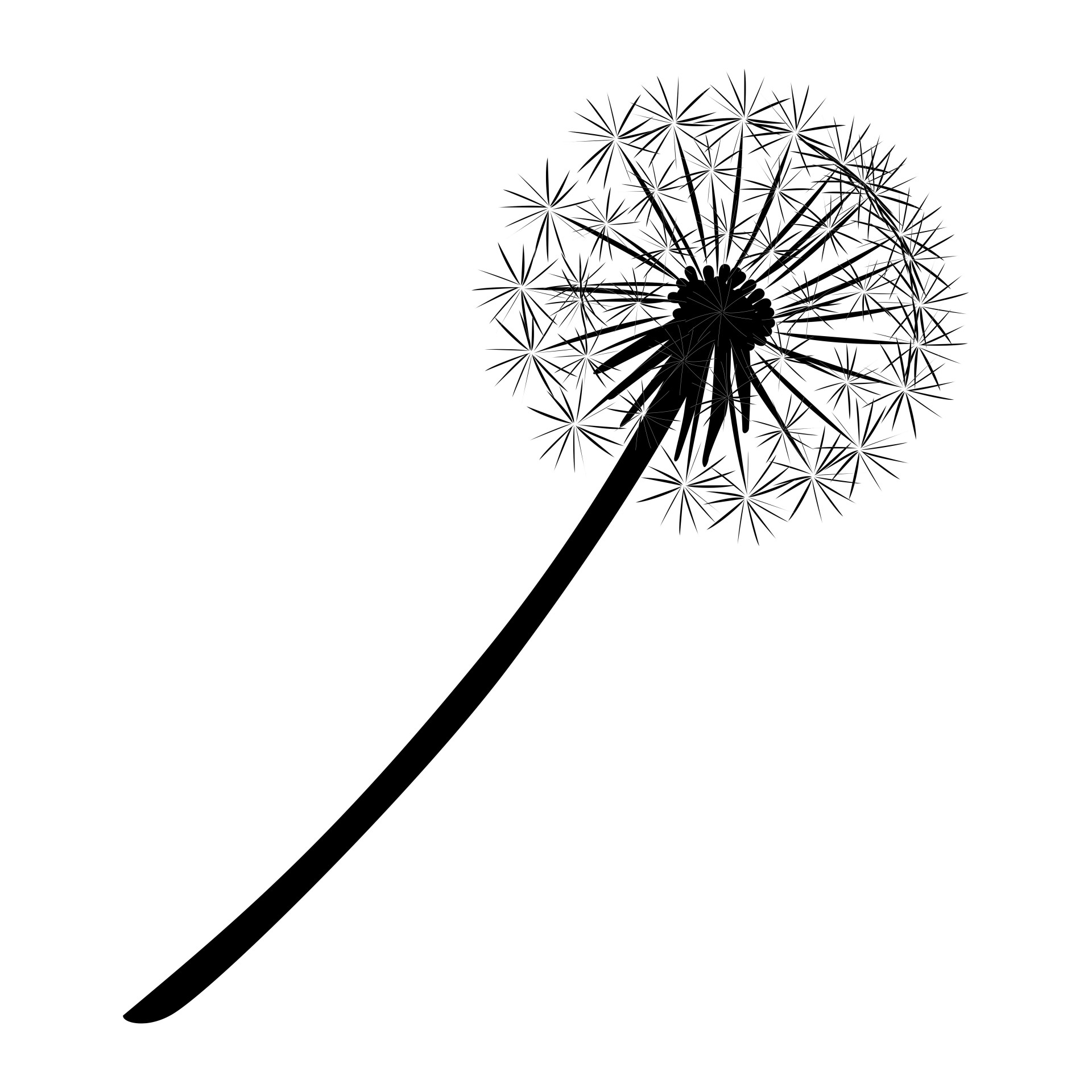 1920x1920 Diagonal, Dandelion, Blowing, Wind, Seed - Dandelion Blowing In The Wind Drawing