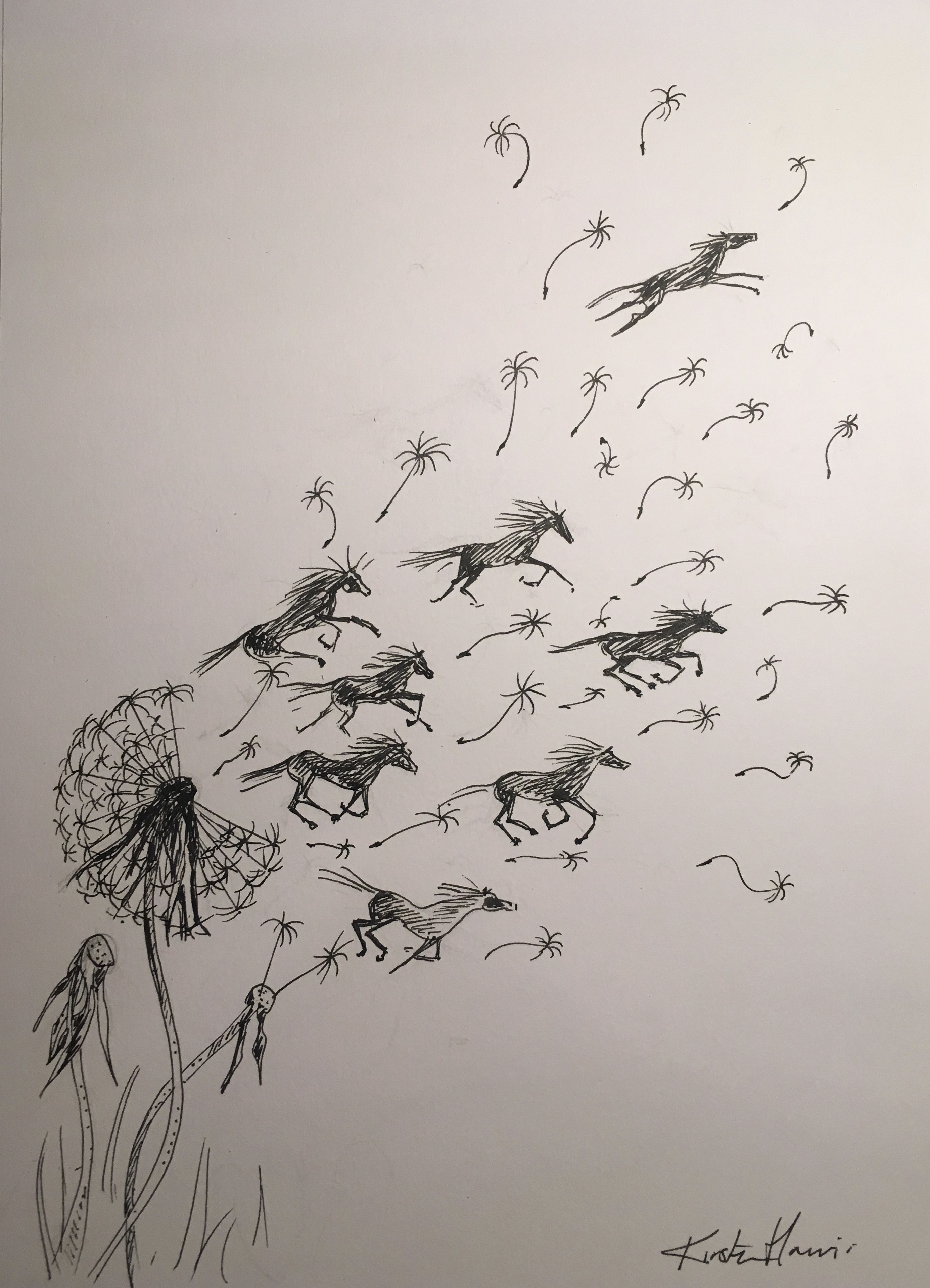 Dandelion Blowing In The Wind Drawing at Explore