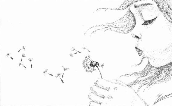 570x352 Huge Collection Of 'blowing Dandelion Drawing' Download More Than - Dandelion Blowing In The Wind Drawing