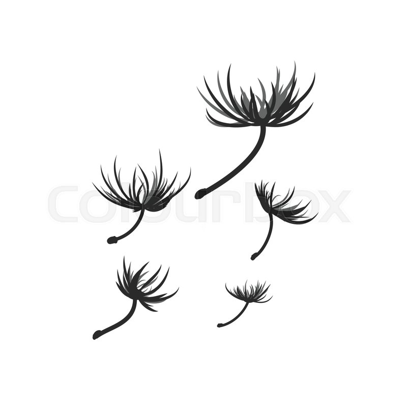 800x800 Vector Dandelion Seeds Blown In The Stock Vector Colourbox - Dandelion Blowing In The Wind Drawing