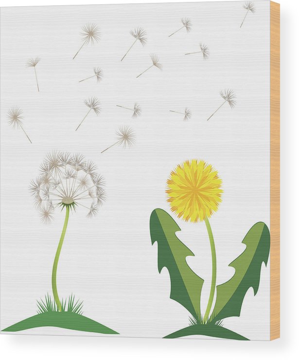 615x740 Beautiful Yellow Dandelion With Leaves Flower Meadow Dandelion - Dandelion Blowing In The Wind Drawing