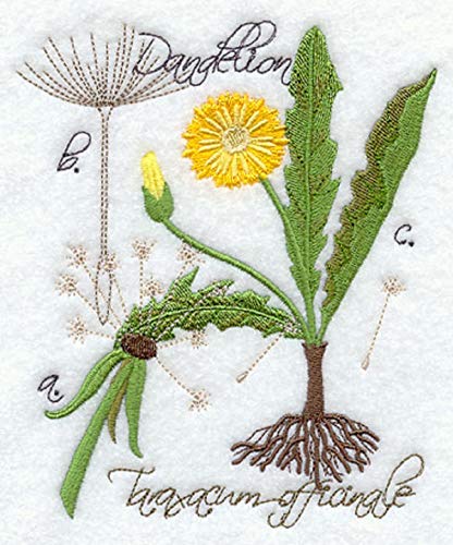 416x500 Embroidered Kitchen Towel Dandelion Botanical Design - Dandelion Botanical Drawing