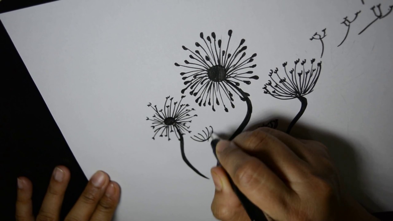 1280x720 How To Draw Dandelions Step - Dandelion Drawing