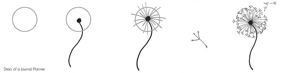 1000x254 How To Draw A Dandelion Easy Dandelion Drawing Step - Dandelion Drawing