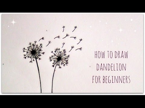 480x360 How To Draw Dandelion - Dandelion Drawing