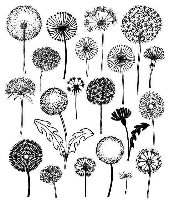 540x666 Don't Click On Link, But These Would Be Fun To Doodle - Dandelion Flower Drawing