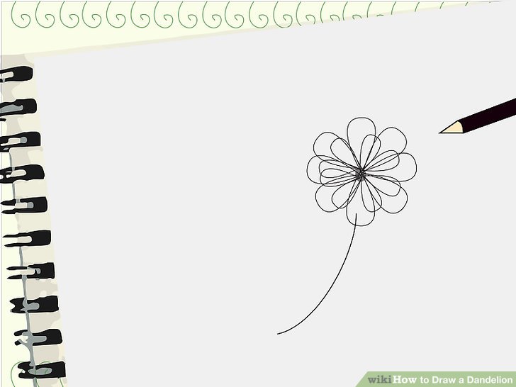 728x546 How To Draw A Dandelion Steps - Dandelion Flower Drawing