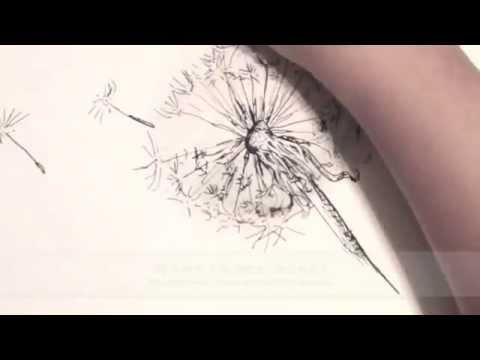 480x360 How To Draw A Dandelion Live Drawing In Ink - Dandelion Flower Drawing