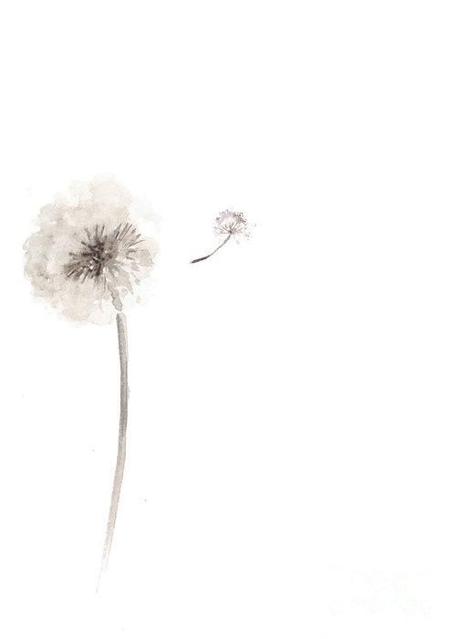 500x700 Watercolor Flower Drawing Minimalist Painting Greeting Card - Dandelion Flower Drawing