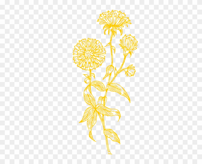 840x680 Yellow Dandelion Png - Dandelion Flower Drawing