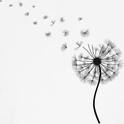 250x250 Dandelion Drawing - Dandelion Flower Drawing