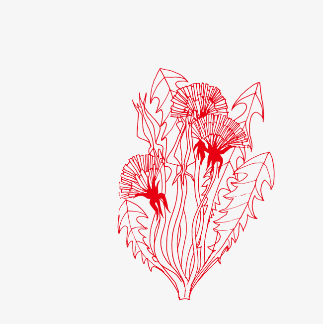 650x651 Hand Painted Line Dandelion, Dandelion, Vector Line Drawing, Red - Dandelion Line Drawing