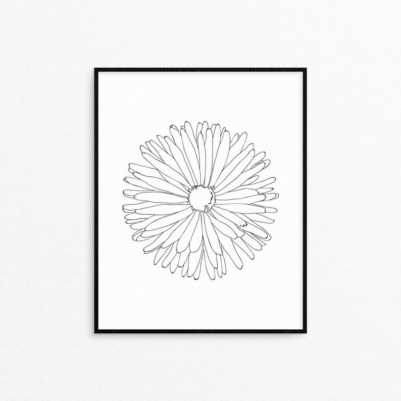 794x794 Dandelion Line Art Printprintablewall Decorlack And Etsy - Dandelion Line Drawing