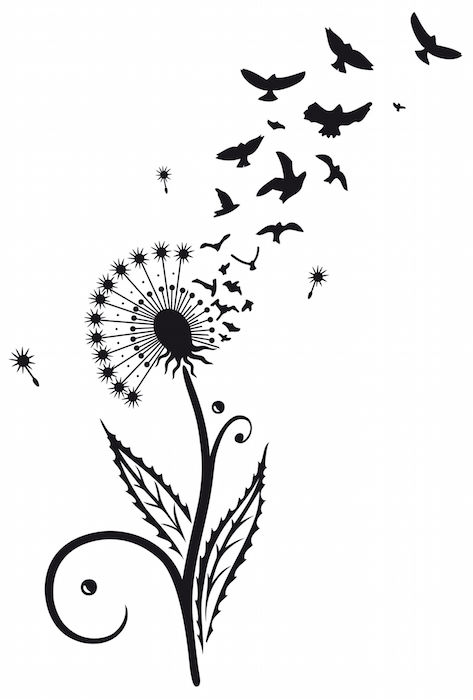 473x700 Dandelion Tattoo Meaning - Dandelion Puff Drawing
