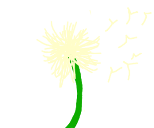 300x250 Dandelion Puff Drawing - Dandelion Puff Drawing