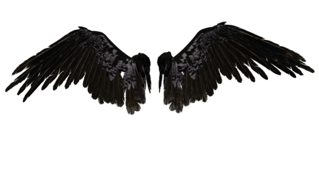 640x360 Collection Of Free Wings Transparent Fallen Angel Download On Ui Ex - Dark Angel Wings Drawing