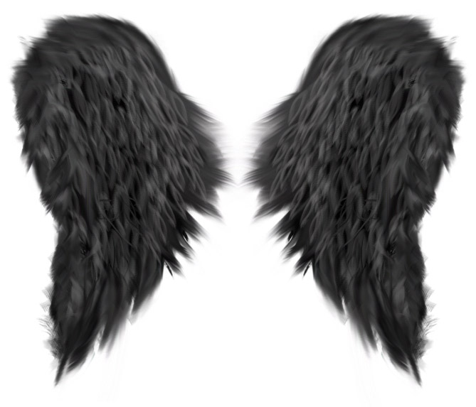 669x573 dark wings switchsecuritycompanies - Dark Angel Wings Drawing