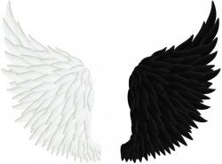 250x185 drawing dark angel wing, picture - Dark Angel Wings Drawing