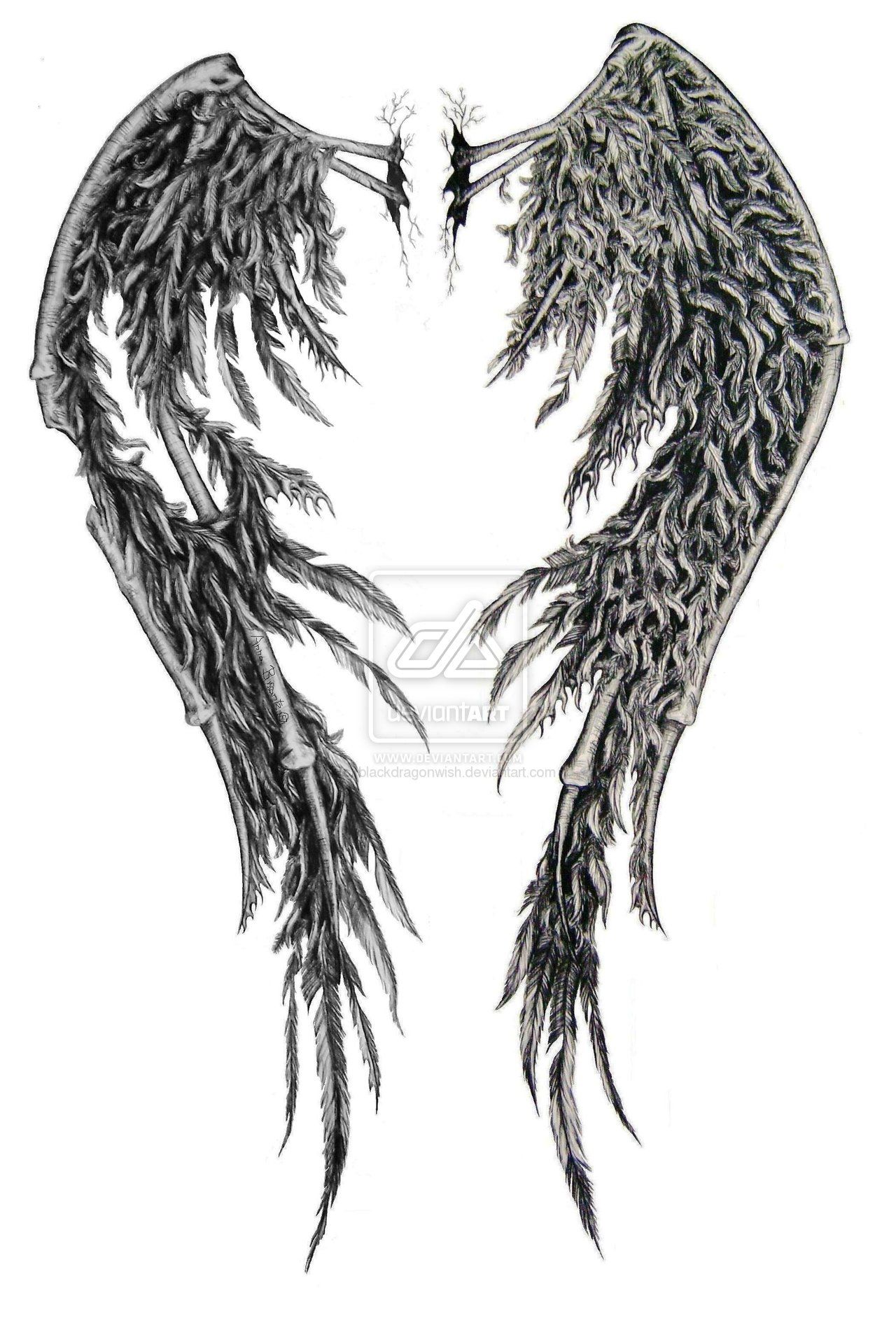 1280x1910 fallen angel wings tattoo fallen angel wings edited - Dark Angel Wings Drawing