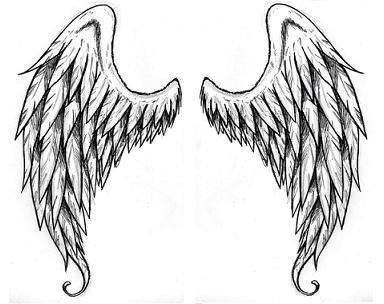 384x304 Pictures Angel Wings Drawing - Dark Angel Wings Drawing