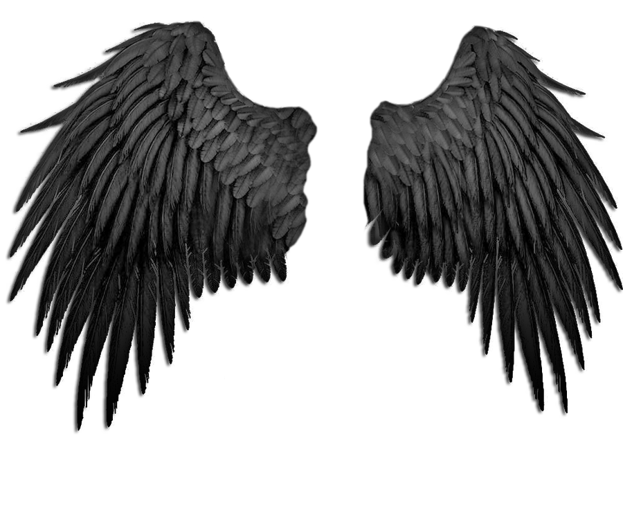 Dark Angel Wings Drawing at Explore collection of