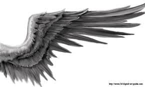 290x174 dark angel wings drawing - Dark Angel Wings Drawing