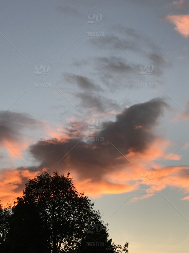 640x853 This Is A Photo Of The Night Sky Drawing In Over The Tree's - Dark Clouds Drawing