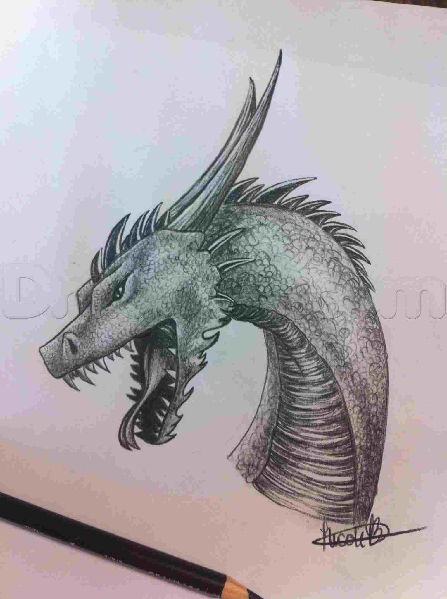 1529x2048 body dark dragon dragon drawing drawing pic at getdrawingscom free - Dark Dragon Drawing