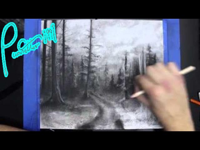 640x480 Dark Forest Charcoal Speed Drawing - Dark Forest Drawing