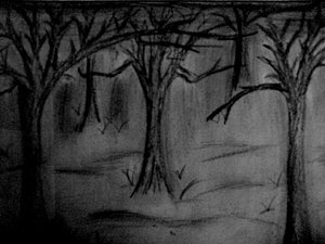 300x225 Dark Forest Drawings - Dark Forest Drawing